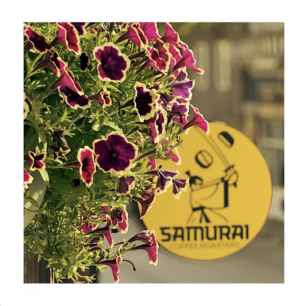 Purple petunias beside the round yellow Samurai Coffee Roasters sign outside the shop