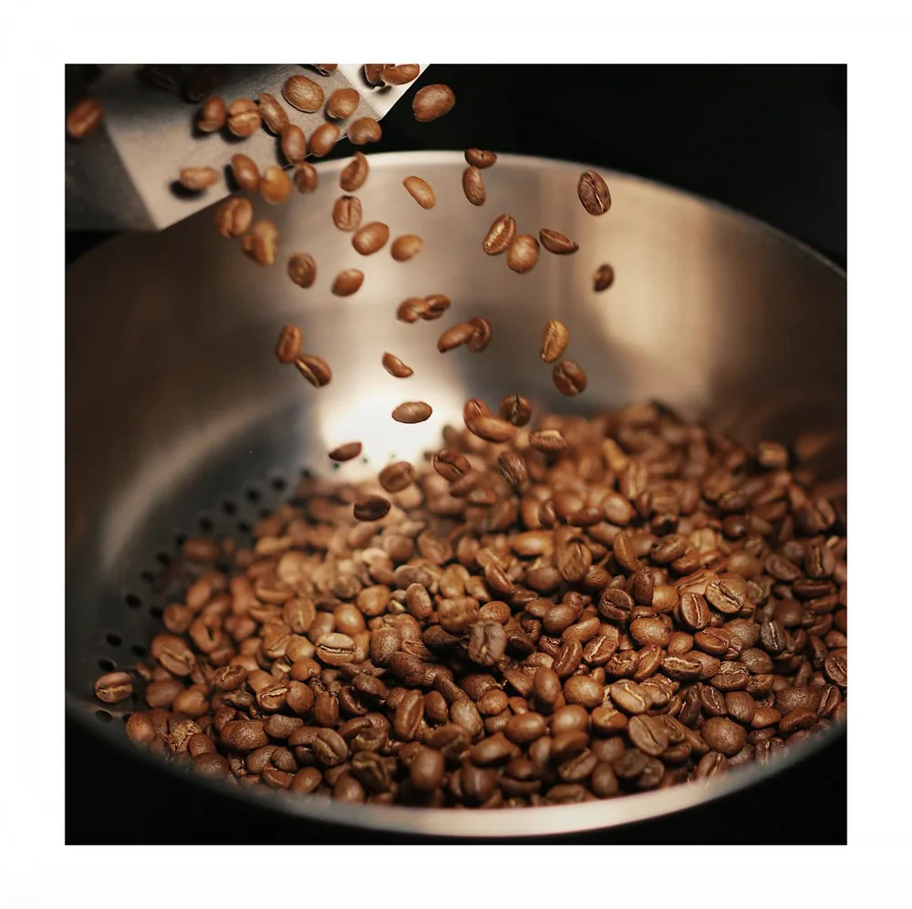 Freshly roasted coffee beans tumbling into the cooling tray of the roaster